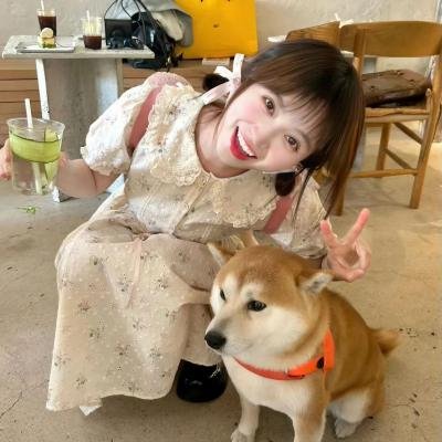 爱情都市